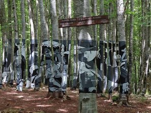 Un bosco con un cartello stradale e una serie di tronchi d'albero con figure dipinte.