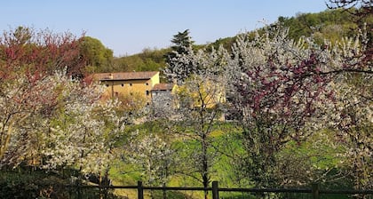 TYPICAL HOUSE IN BERIC HILLS -Villa Dolina-