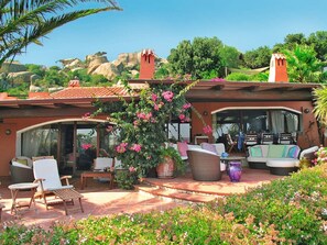 テラス / パティオ