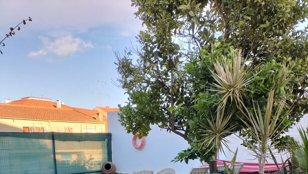 A backyard with a swimming pool, a green gate, potted plants, and a white chair. - WELL ME WANT 1, apartment with pool 5km from Lisbon and Costa da Caparica (Feijó)