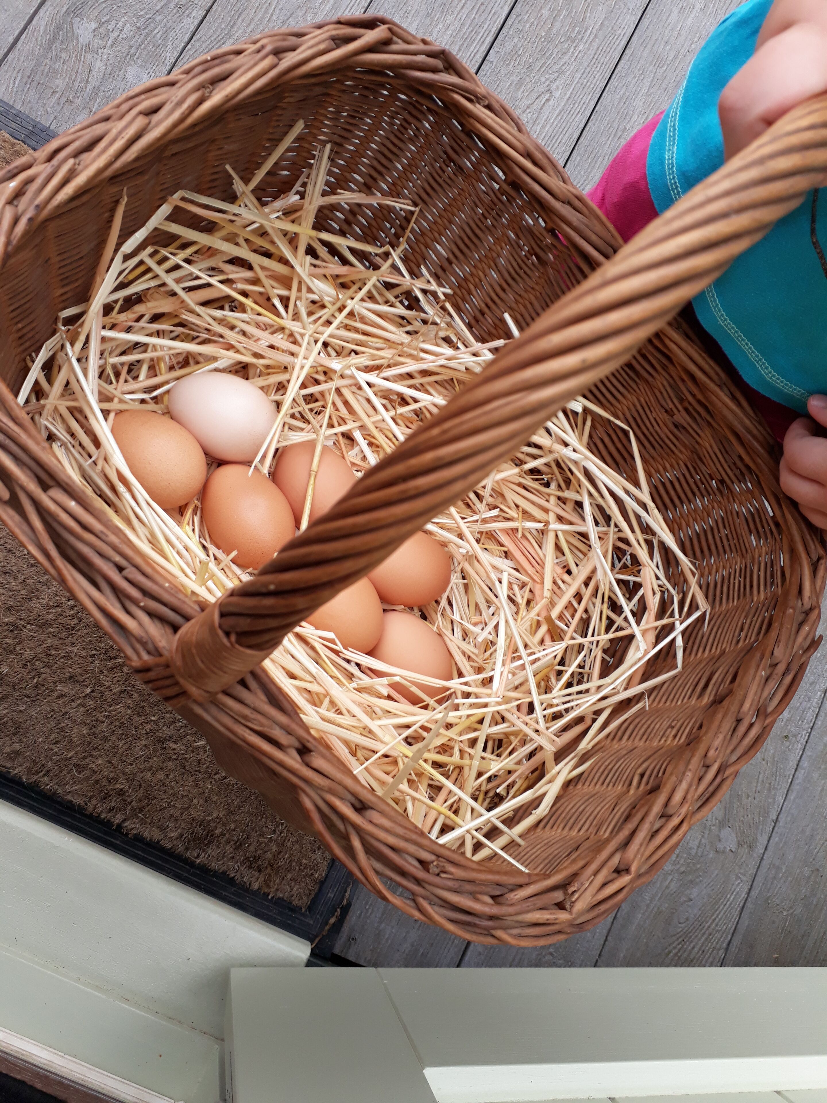 A wicker basket filled with straw and eggs.