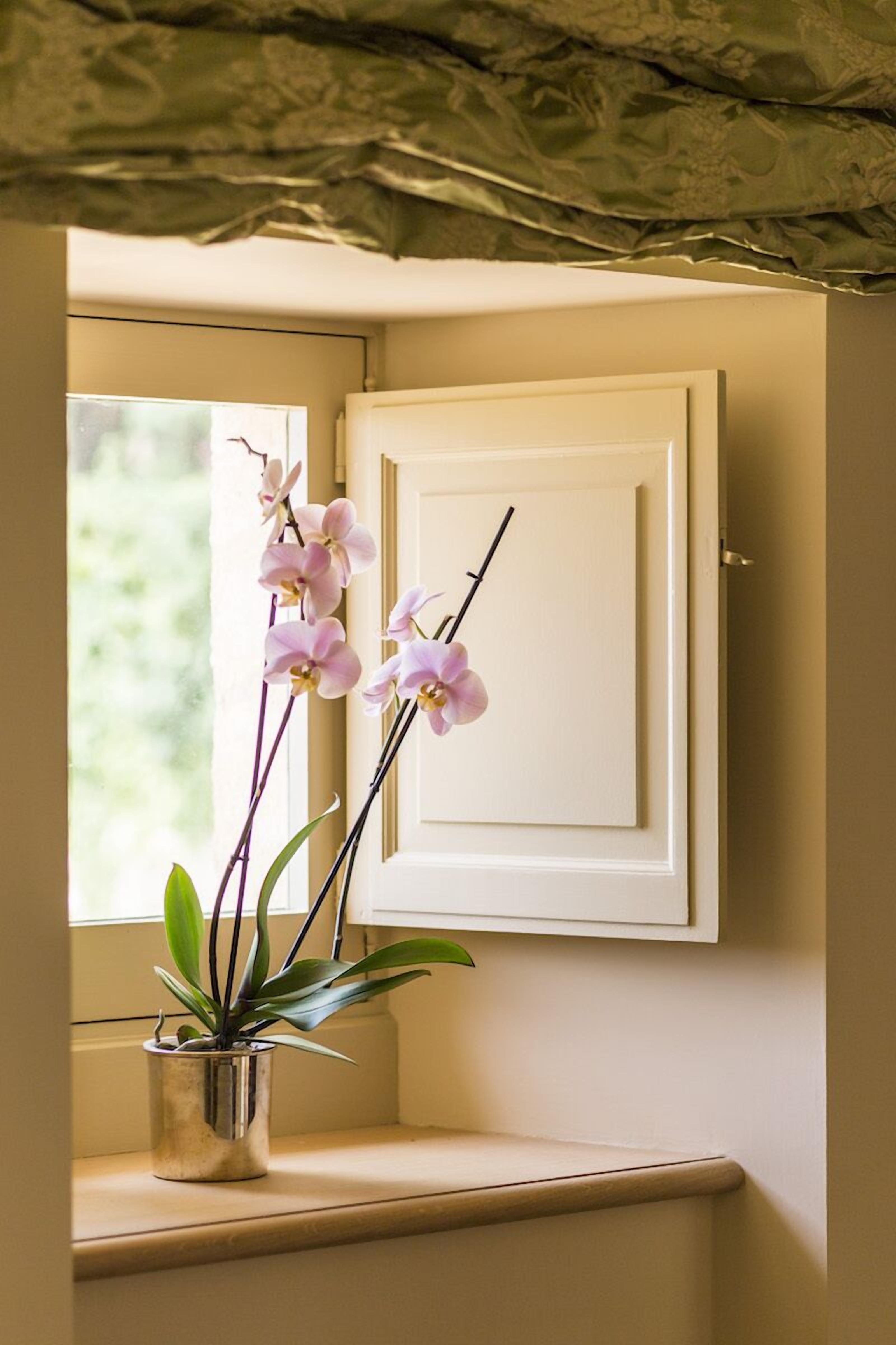 Une fenêtre avec un pot d’orchidées placé sur le rebord.