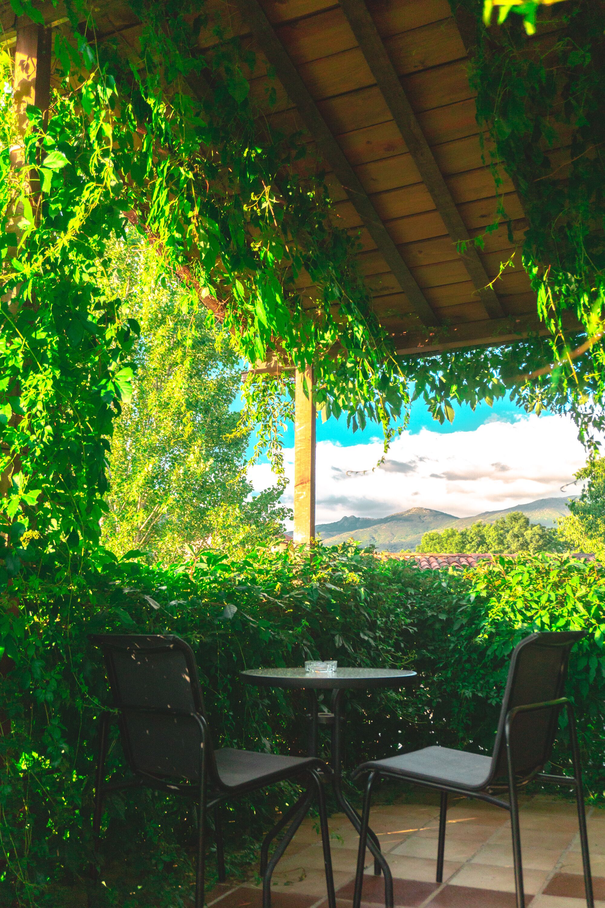 Un espace extérieur aménagé avec deux chaises et une table, entouré d’une végétation luxuriante et offrant une vue sur des montagnes lointaines.