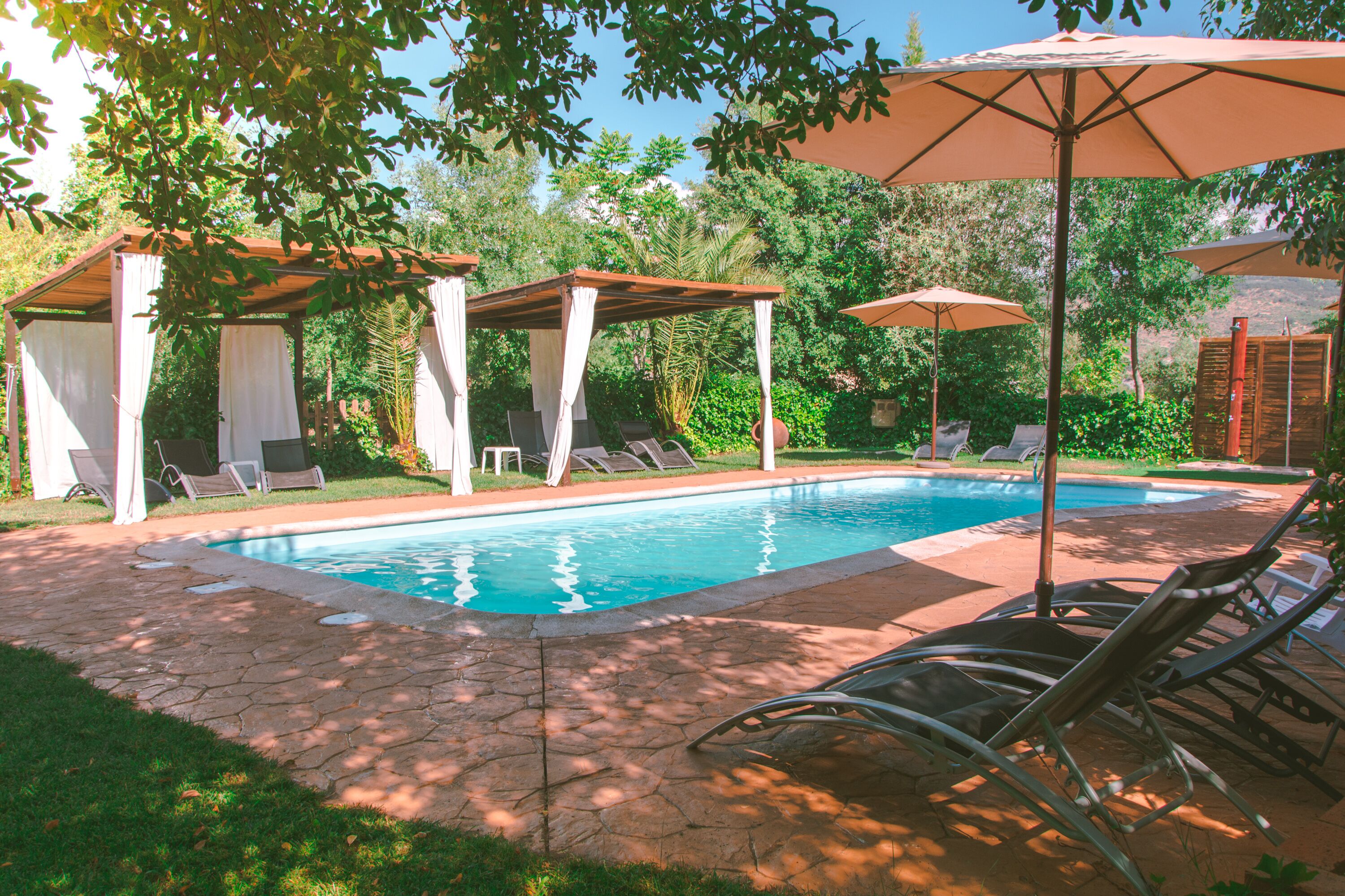 A swimming pool with lounge chairs and umbrellas, surrounded by greenery and a stone patio.