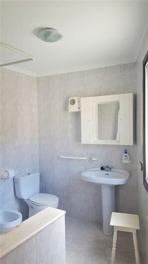 Combined shower/tub, bidet