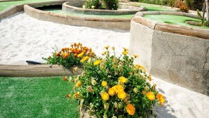 Un jardín ajardinado con una fuente, un conífero alto y un macizo de flores amarillas.