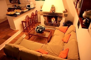 TV, fireplace, DVD player, books
