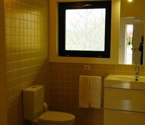 Combined shower/tub, hair dryer, bidet, towels