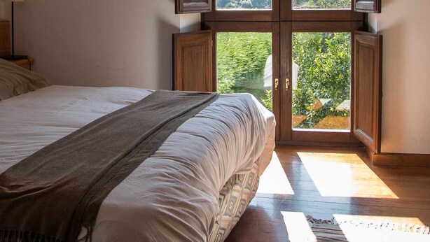 Une chambre avec un grand lit, une vue sur la verdure par la fenêtre et un plancher en bois.