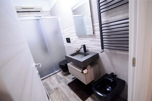 Shower, hair dryer, bidet, towels