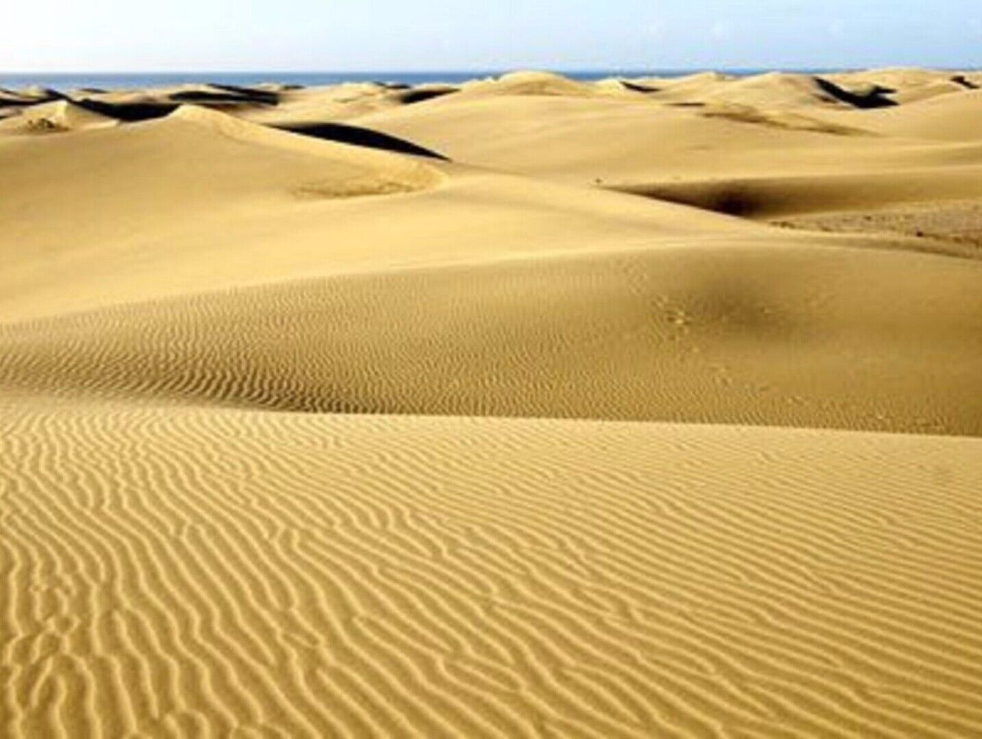 A desert landscape with undulating sand dunes.