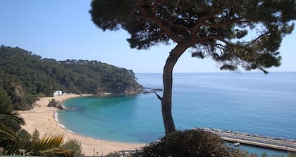 Villenpark Playa Arena Haus Maria