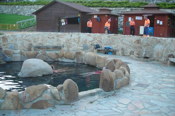 Piscine