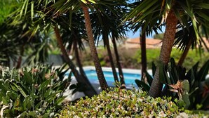 A pool surrounded by palm trees and lush greenery. - Villa Rosa - Fontane Bianche - two independent apartments with pool by the sea (Fontane Bianche)