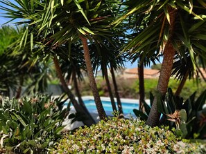 Property grounds - Villa Rosa - Fontane Bianche - two independent apartments with pool by the sea (Fontane Bianche)