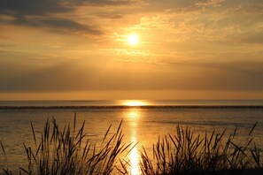 Un coucher de soleil sur une mer calme, avec de l’herbe au premier plan.