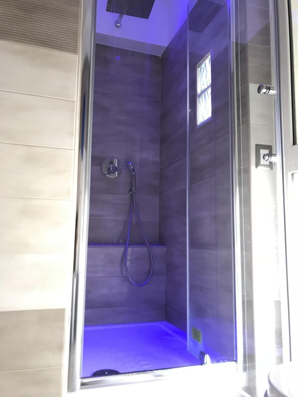 Shower, hair dryer, bidet, towels