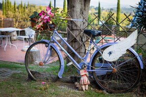 Property grounds - Macinella Sunflower 2 (San Gimignano)