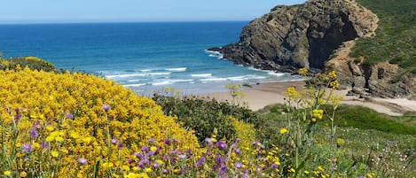 Chaises longues, serviettes de plage