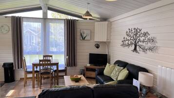 TV connectée, lecteur de DVD, livres