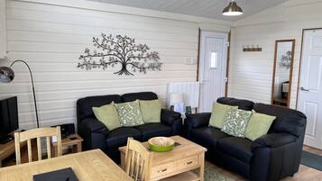 TV connectée, lecteur de DVD, livres