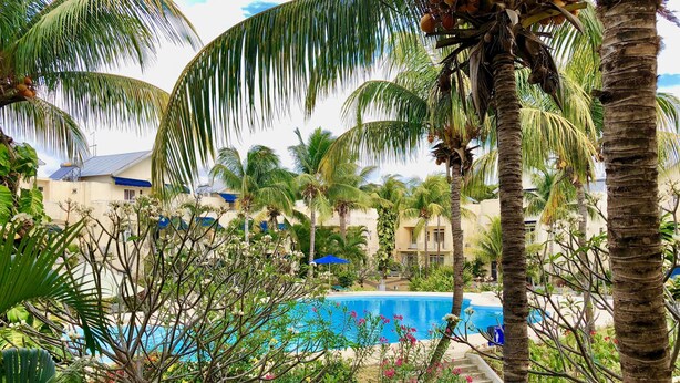 Una piscina rodeada de palmeras y plantas tropicales, con un edificio al fondo.