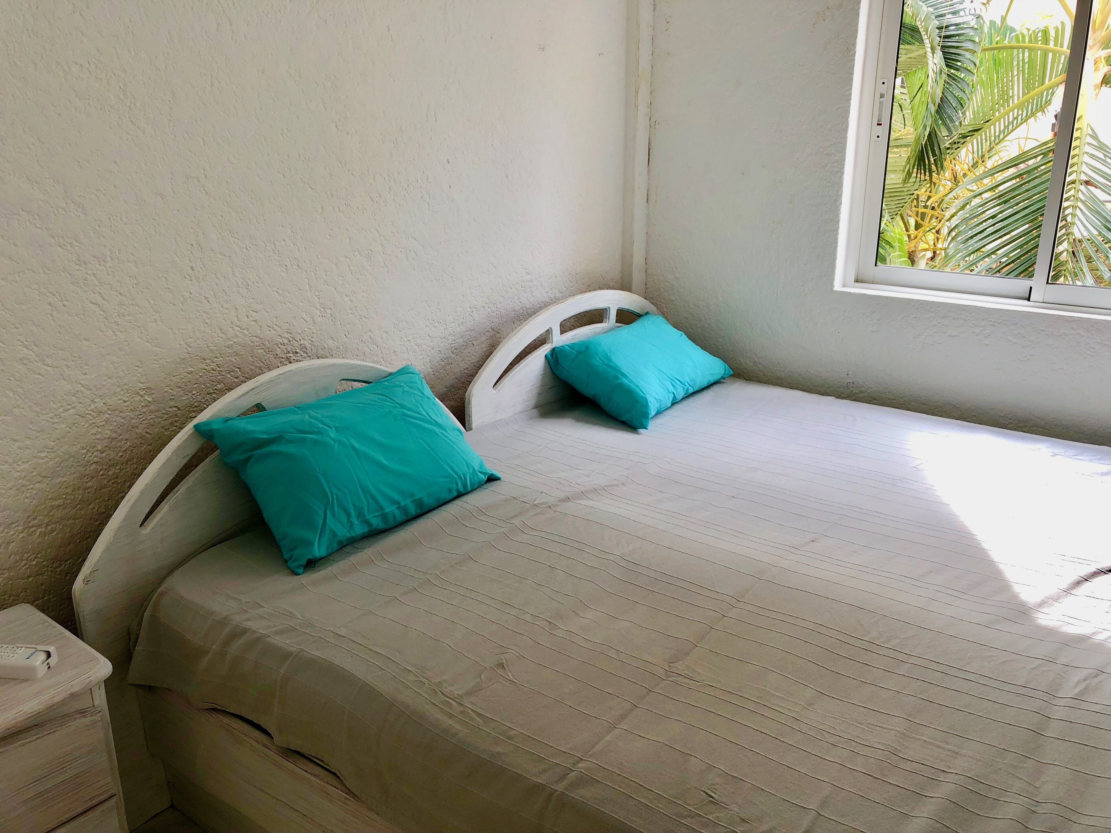 Una habitación pequeña con cama individual, pared blanca sencilla y ventana con vistas a palmeras.