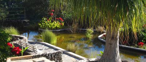 Jardines del alojamiento