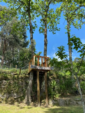 Área da propriedade