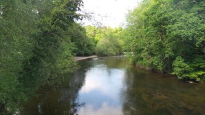 A river surrounded by dense green foliage. - Beautiful river front self catering holiday lodge. (Builth Wells)