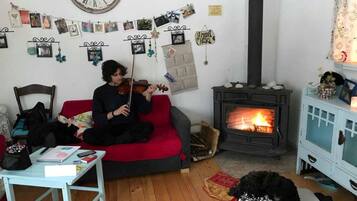 Chimenea, reproductor de DVD, libros