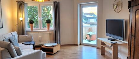 Televisie, een open haard, een dvd-speler en boeken