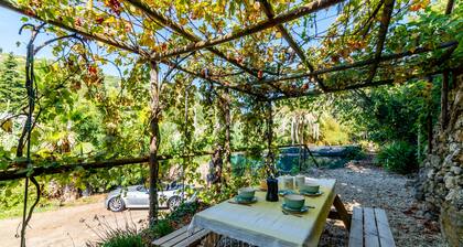 Private parking, garden, sea at 250 mt, terrace, swimming pool, WI-FI, clima