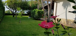 Parco della struttura