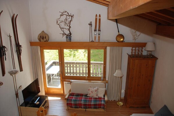 TV, DVD player, table tennis - Ferienwohnung- Haus Moregg C12 Penfold (Surcuolm)