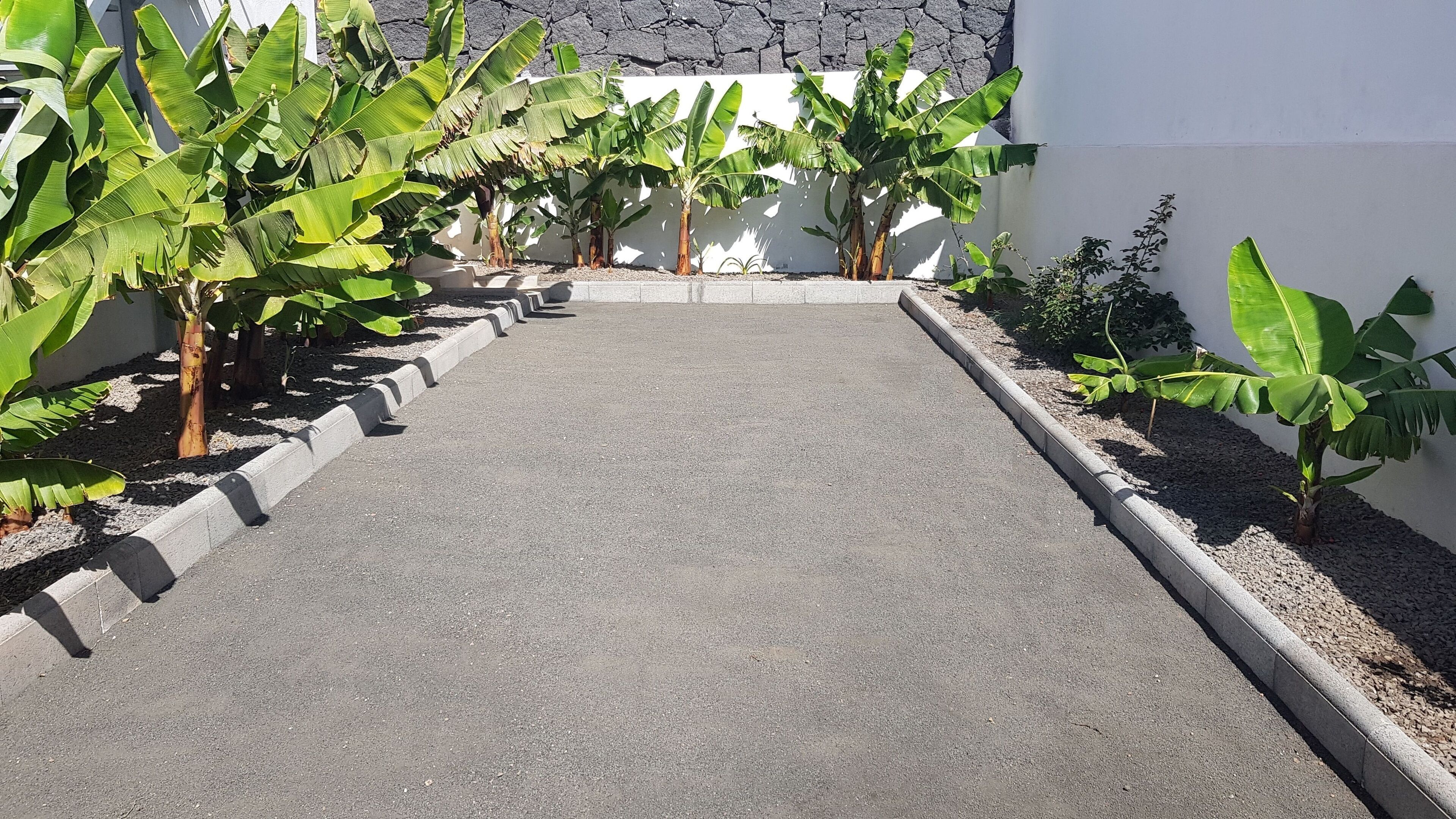 A paved pathway flanked by banana plants and a white wall.