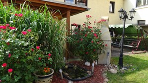 A garden with potted plants, a small pond, and a metal chair. - Apartment with garden and pool use (Rathmannsdorf)