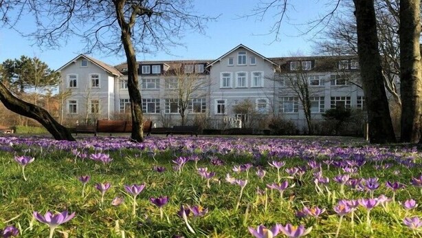 Ein Gebäude mit vielen Fenstern und einer Rasenfläche mit violetten Blumen davor.