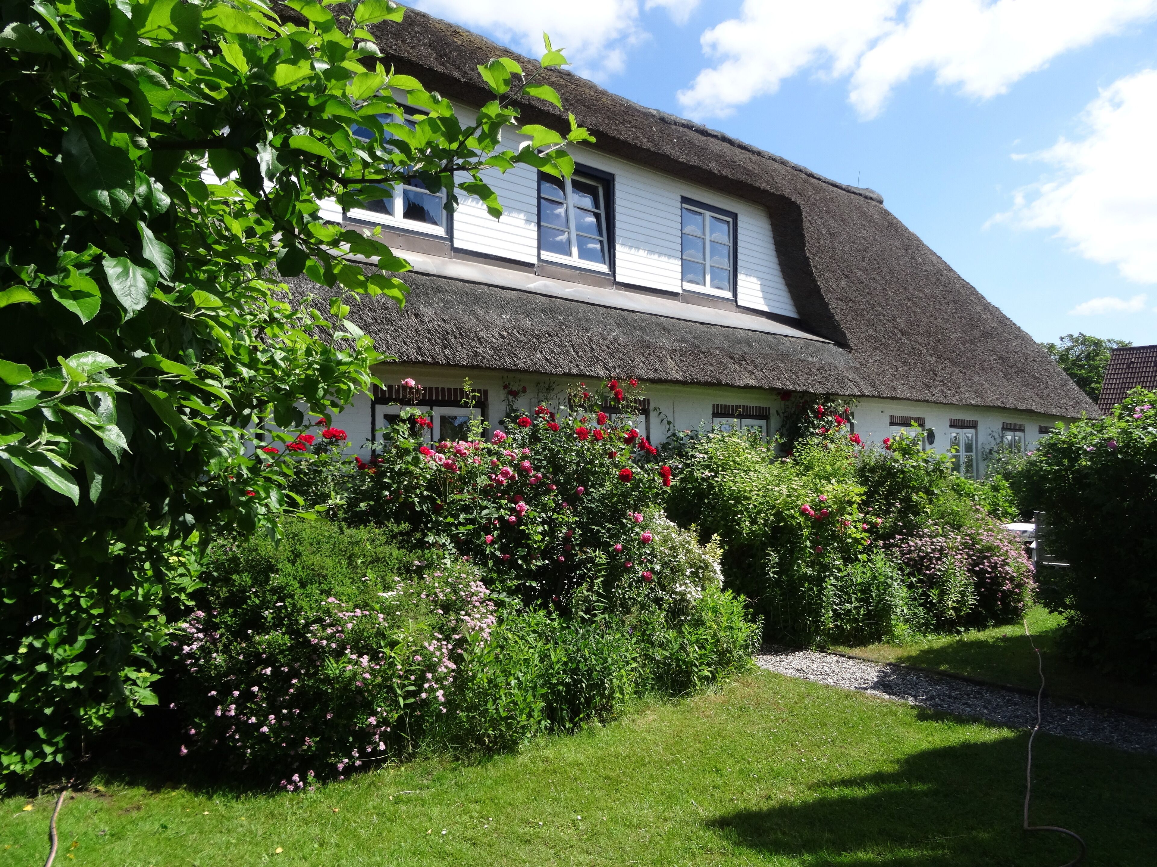 En traditionel bolig med stråtækt tag, omgivet af frodig vegetation og blomstrende planter.