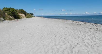 Vacaciones en el mar Báltico bajo techo de paja con mucha comodidad; Chimenea, Wi-Fi gratis, 2 Smart TV.
