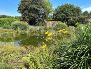 Property grounds - Family holiday, meeting with friends, enjoying the garden (Einartshausen)