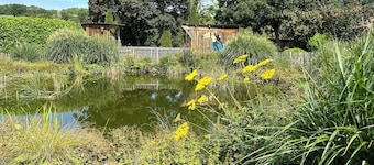 Family holiday, meeting with friends, enjoying the garden