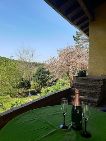Outdoor dining. Family holiday, meeting with friends, enjoying the garden