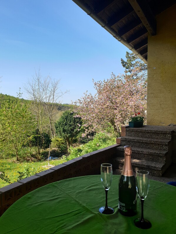 Outdoor dining - Family holiday, meeting with friends, enjoying the garden (Einartshausen)