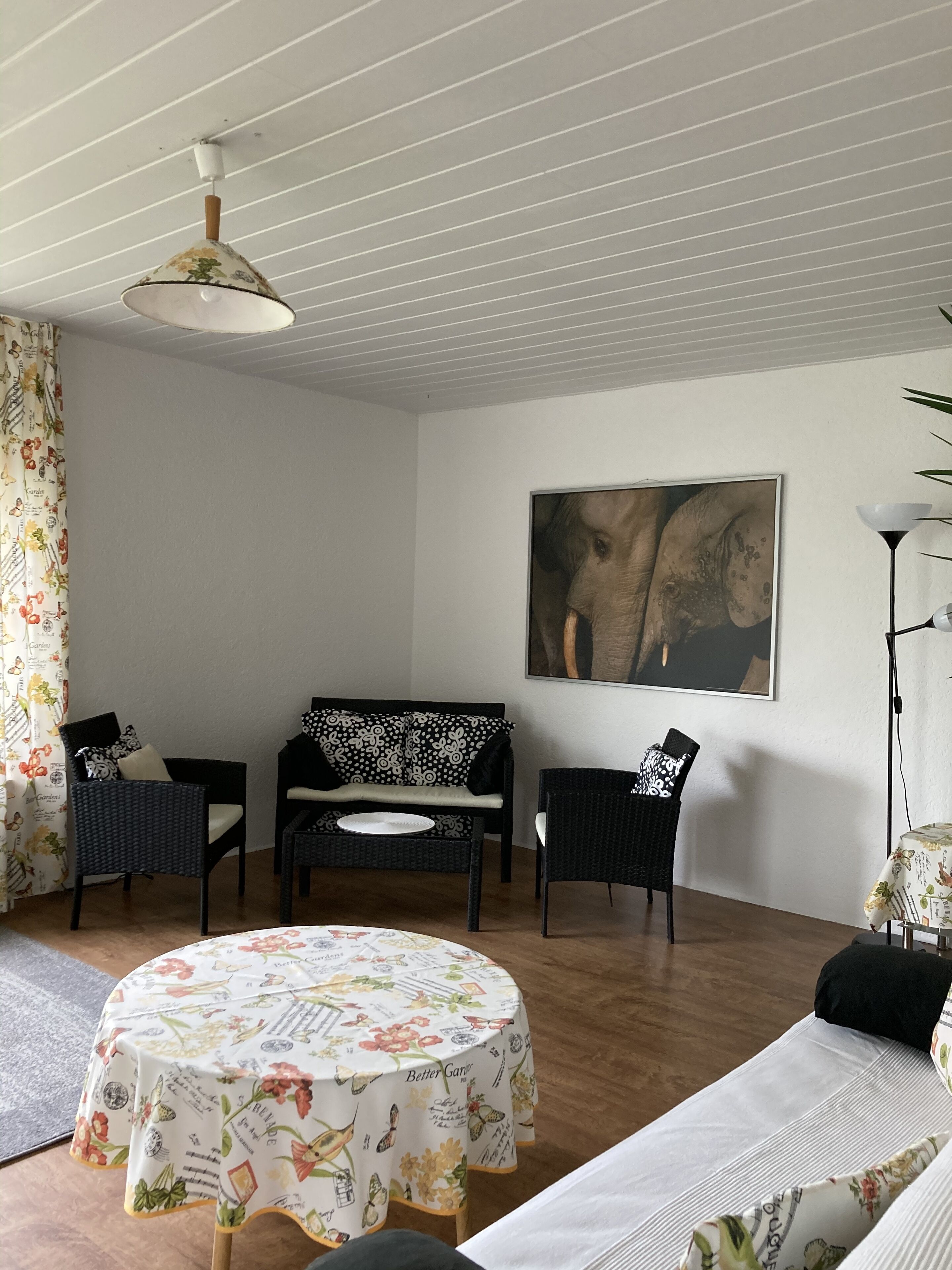 Fernseher, Kamin, DVD-Player, Bücher