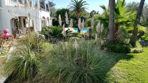 A lush garden with tall grasses, a pool, and palm trees. - Apartment in a finca between sea, mountains and vineyards (Xàbia)
