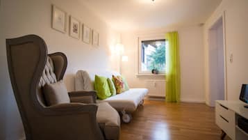 Fernseher, Stereoanlage