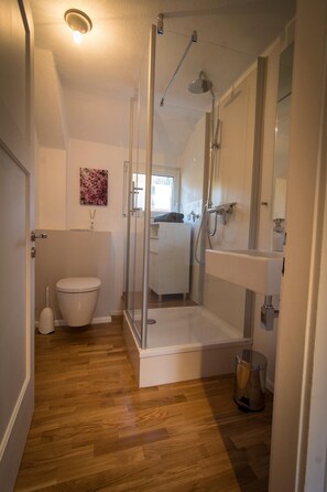 Dusche, Haartrockner, Handtücher, Seife