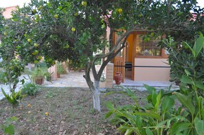 Detalle exterior