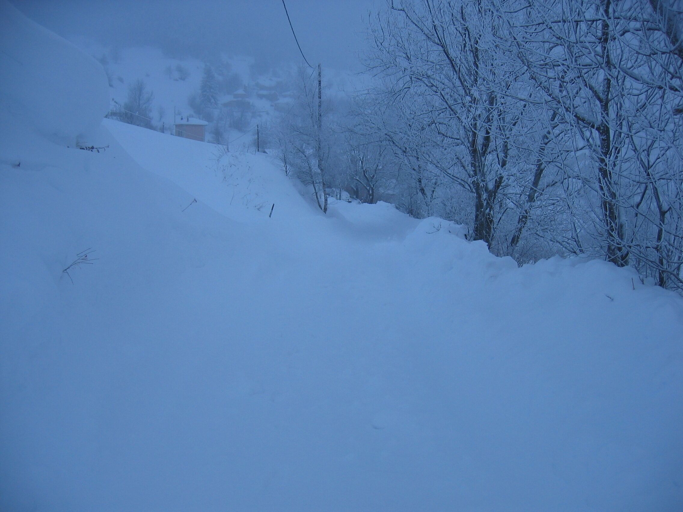 Bright and warm cottage in the heart of the farm